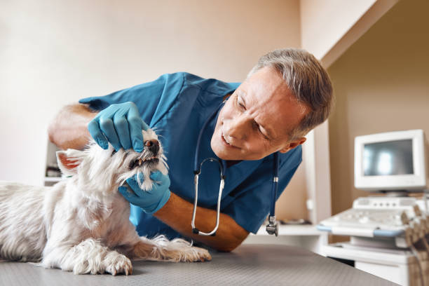 Best Emergency Denture Repair in Kempner, TX